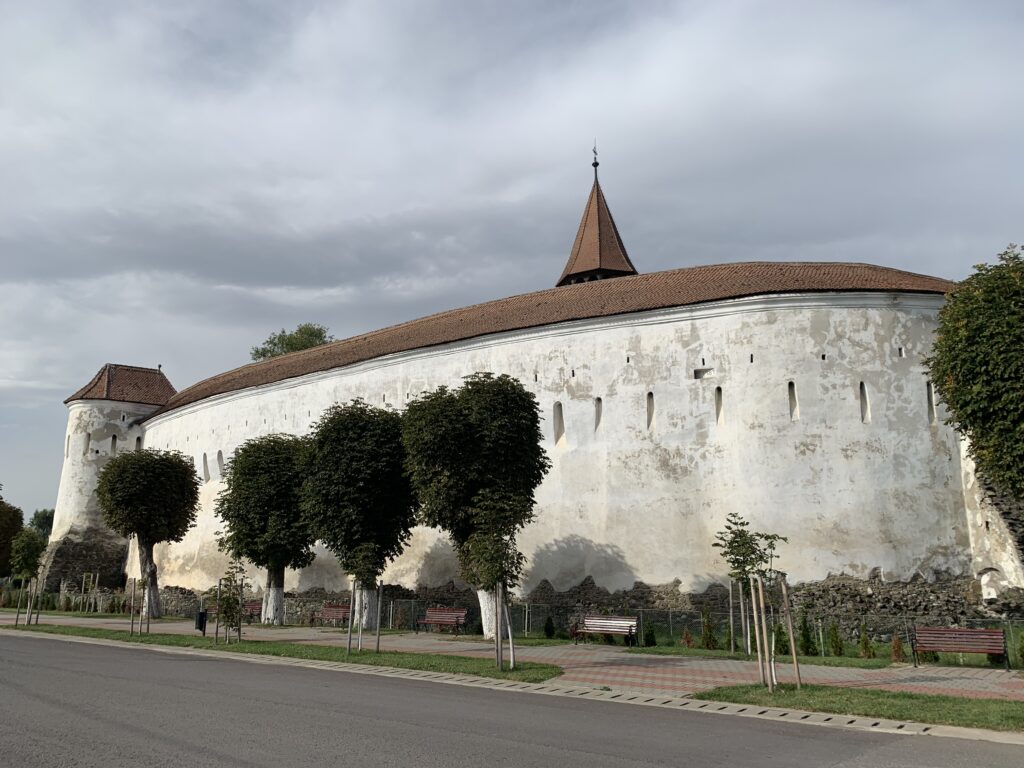 urban hunting and gathering